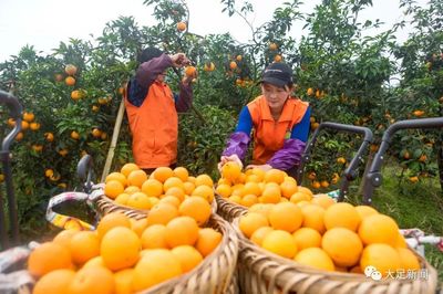 大足農(nóng)產(chǎn)品&ldquo;做客&rdquo;重慶之聲