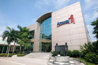 益生菌對(duì)女人的10大好處 女性必備